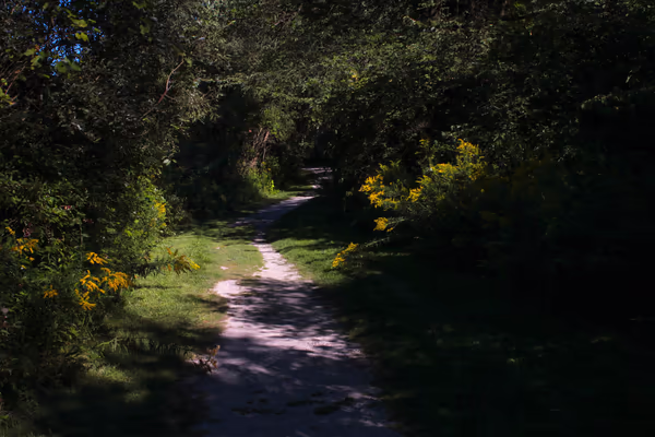 Wahlfield Park photo 2